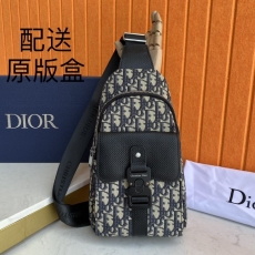 Mens Christian Dior Waist Chest Packs